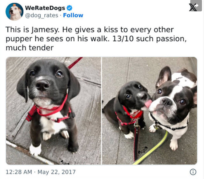 dog-a-kiss-during-a-walk